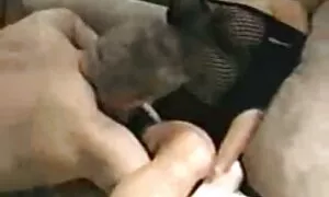 Khiêu dâm video se x nhat bản Lớn dây đàn. Loại cạo ngăm đen, thẳng bằng đổ trẻ, tình dục bằng miệng.